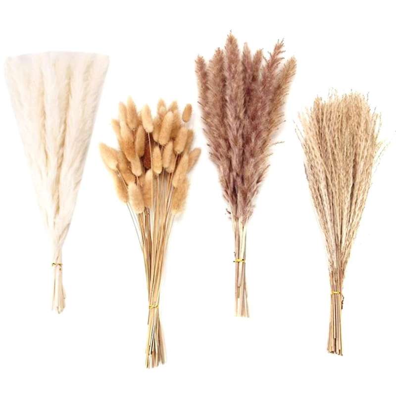 100PACK Dried Pampas Grass Decor Pampas Grass Bunny Dried Flowers Reed Grass Bouquet for Wedding Par