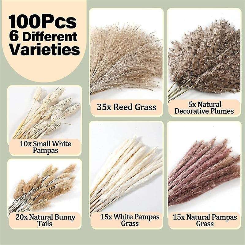 100pcs Dried Pampas Grass Decor,natural Home Decor, Phragmites Dried Flowers, Fluffy Stem Bouquet F