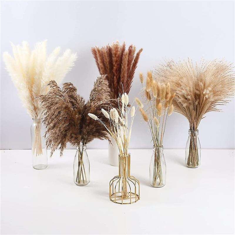 100pcs Dried Pampas Grass Decor,natural Home Decor, Phragmites Dried Flowers, Fluffy Stem Bouquet F