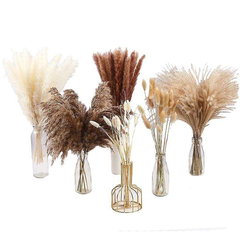 100pcs Dried Pampas Grass Decor,natural Home Decor, Phragmites Dried Flowers, Fluffy Stem Bouquet F