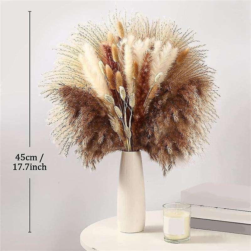 100pcs Dried Pampas Grass Decor,natural Home Decor, Phragmites Dried Flowers, Fluffy Stem Bouquet F