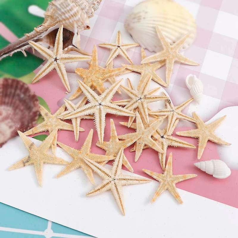 100Pcs Natural Starfish Seashell Beach Craft Natural Sea Stars DIY Beach Wedding Decoration Crafts H
