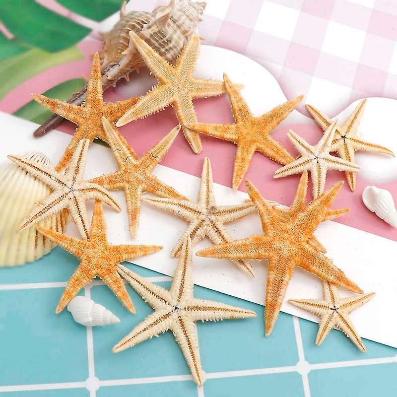 100Pcs Natural Starfish Seashell Beach Craft Natural Sea Stars DIY Beach Wedding Decoration Crafts H
