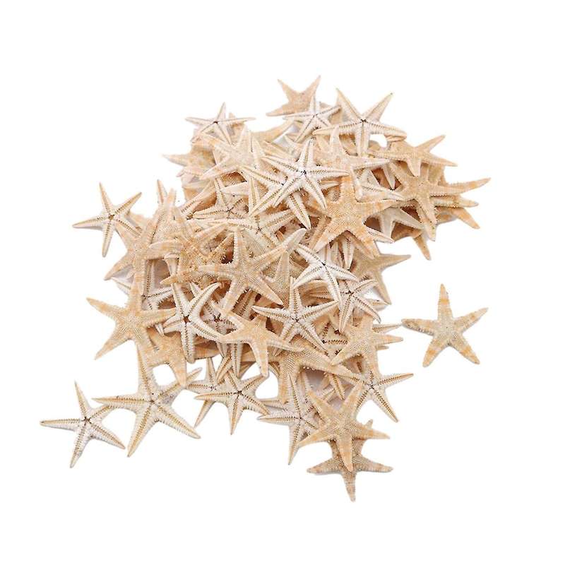 100Pcs Natural Starfish Seashell Beach Craft Natural Sea Stars DIY Beach Wedding Decoration Crafts H