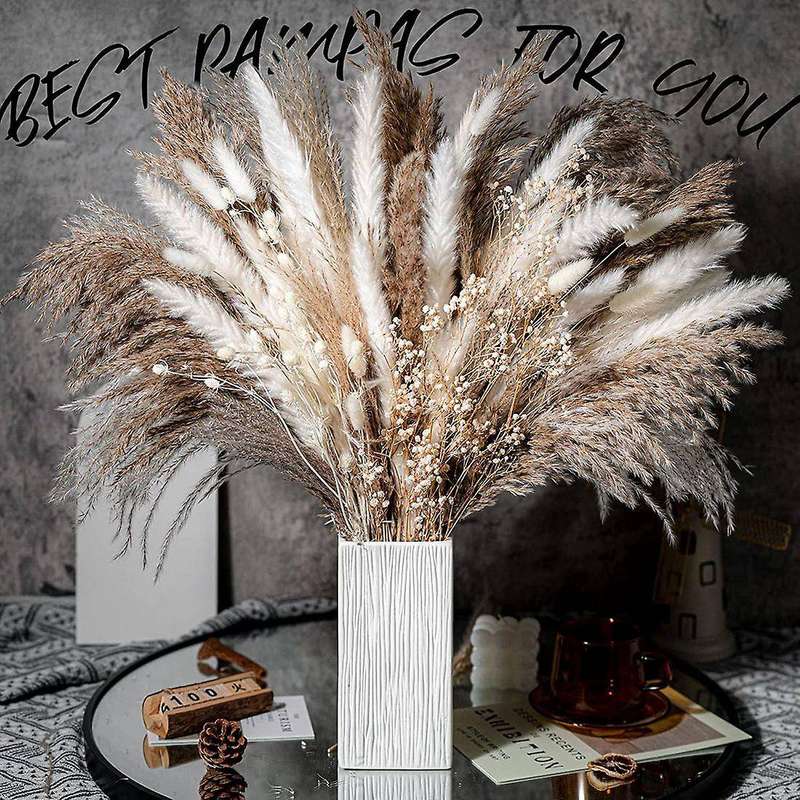 100PCS Natural Dried Pampas Grass Bouquet Dried Flower Compatible Wedding