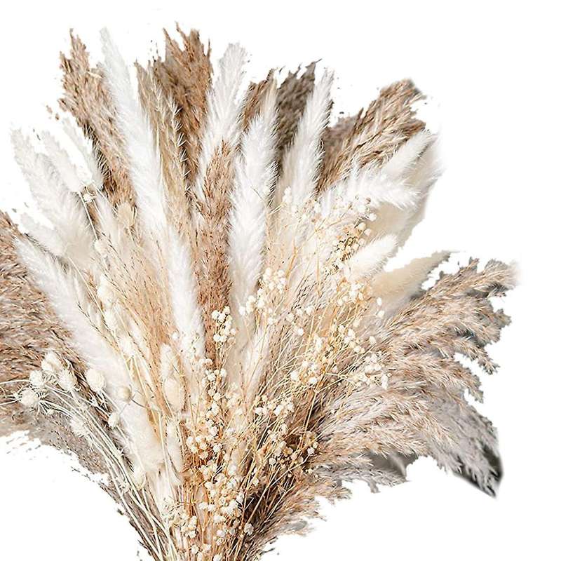 100PCS Natural Dried Pampas Grass Bouquet Dried Flower Compatible Wedding