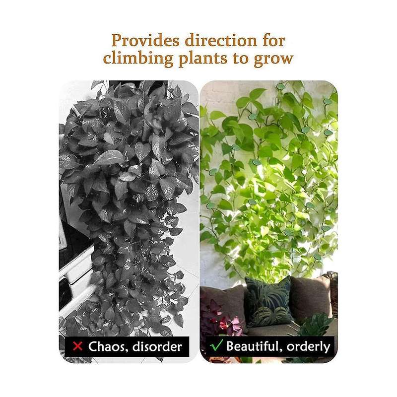 100pcs Plant Clips for Climbing Plants, Strong Self Adhesive Plant Climbing Wall Fixture Clips Invi