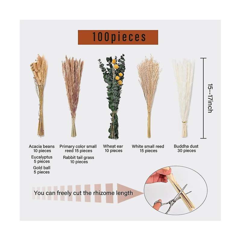 100pcs Pampas Grass Decor Dried Pampas Grass Pampas Grass for Family Living Room Wedding Boho Decor