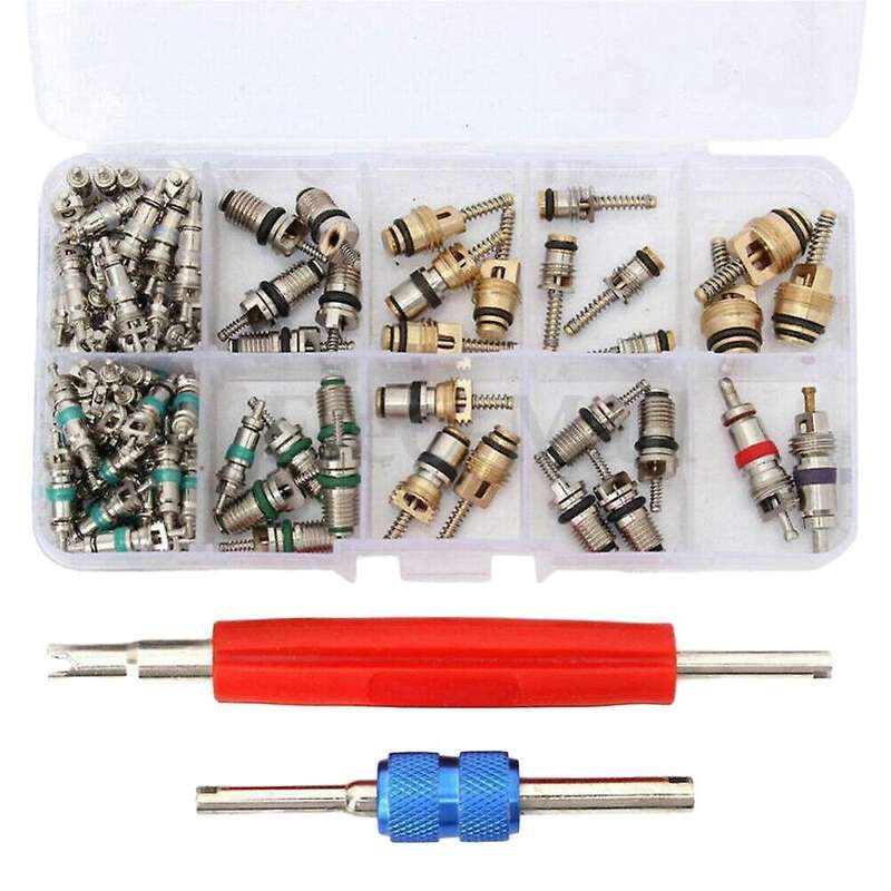 102PCS Universal AC R12 & R134A Air Conditioning Valve Core Remover Installer Tool Kit with 2 Remova