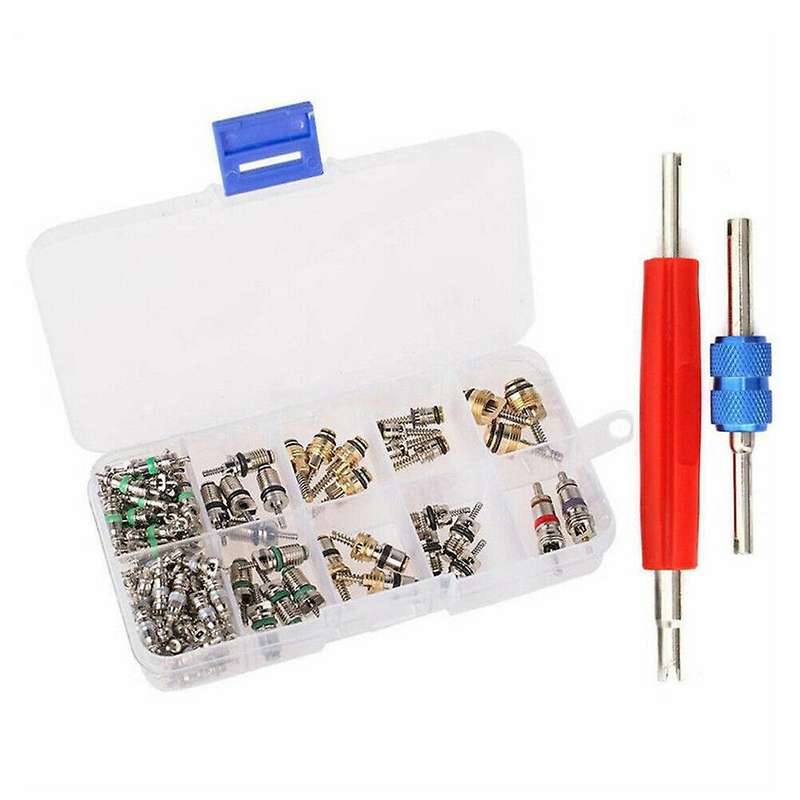 102PCS Universal AC R12 & R134A Air Conditioning Valve Core Remover Installer Tool Kit with 2 Remova