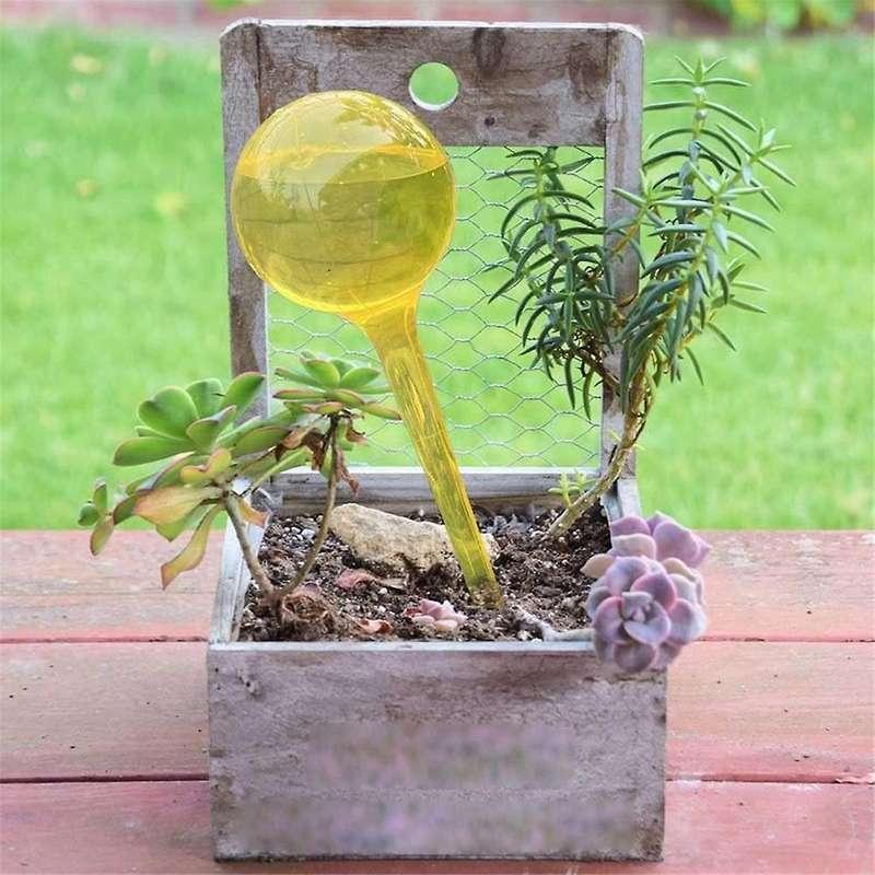 10Pack Automatic Watering Bulbs Self-Watering Globes Plastic Self Watering Bulbs for Indoor Outdoor