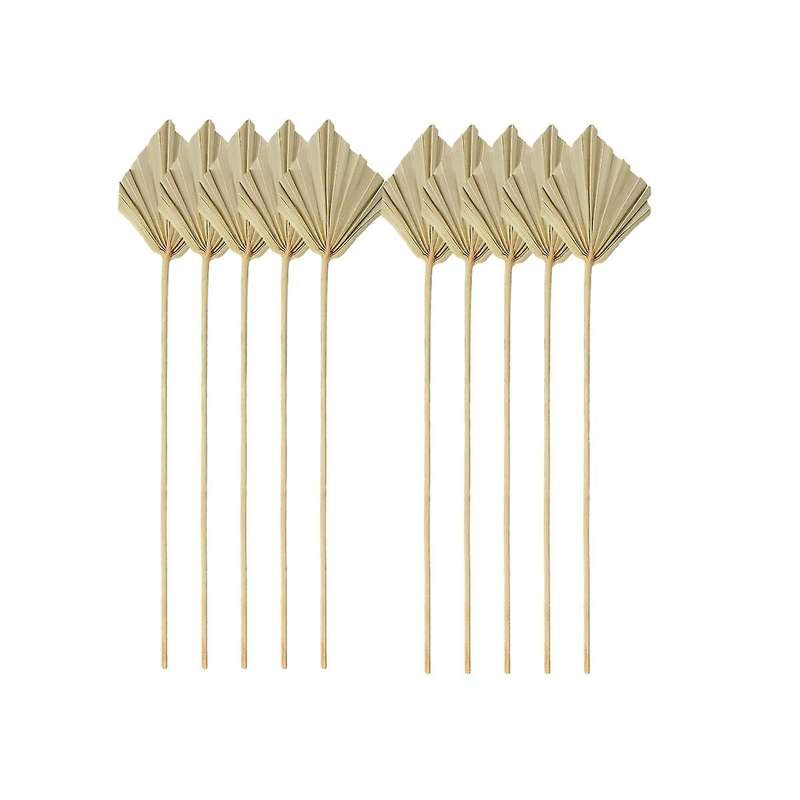 10pcs Boho Dried Palm Spears Small Natural Dried Palm Fans Leaves Decor