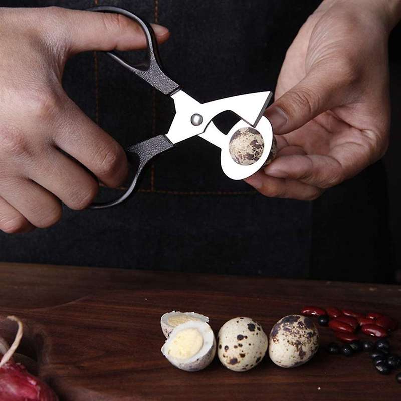 10PCS Egg Scissors Quail Egg Shell Cutters Separator Small Quail Egg Cracker Quail Scissors Opener C