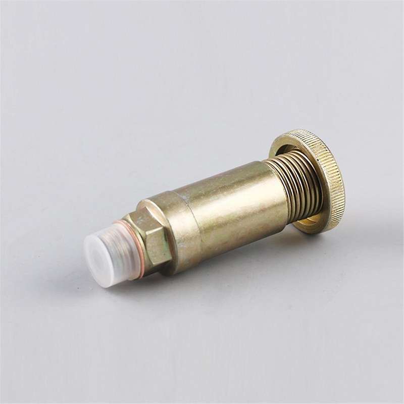 10pcs Hand Primer Pump/ Hand Oil Pump for 2447222099 2447010020 0000904050