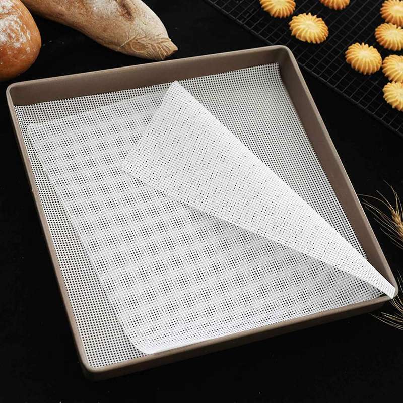 10PCS Non Stick Silicone Dehydrator Sheets, Compatible Fruit Dryer Dumpling