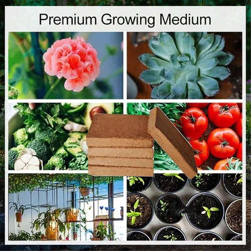 10pcs Organic Coconut Fiber for Plants, Organic Coconut Bricks, Natural Organic Compressed Coconut