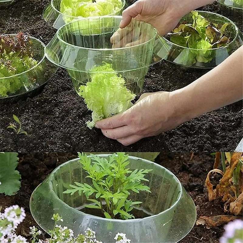 10PCS Protection Vegetables Covers Plant Snail Collar Guard Garden