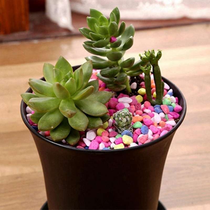 10pcsblack Round Flower Pots High Waist Deep Pots Are Perfect for Indoor and Outdoor Plants, Seeds