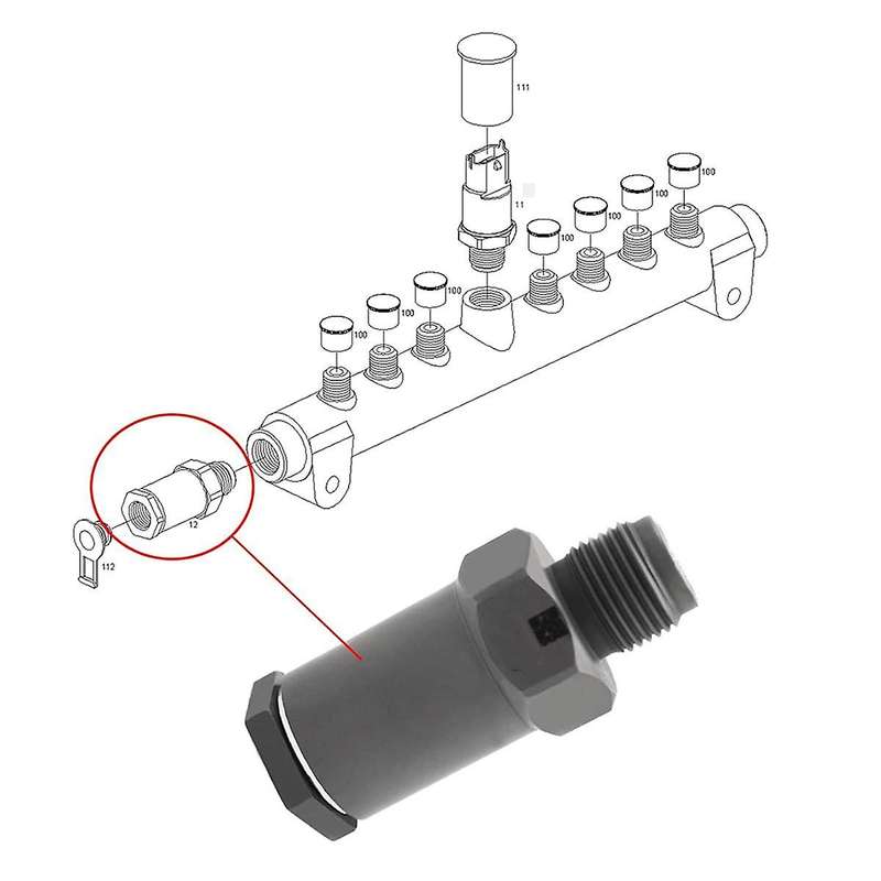 1110010021 Pressure Relief Valve Common Rail Pressure Relief Valve Fuel Pressure Safety Valve Pressu
