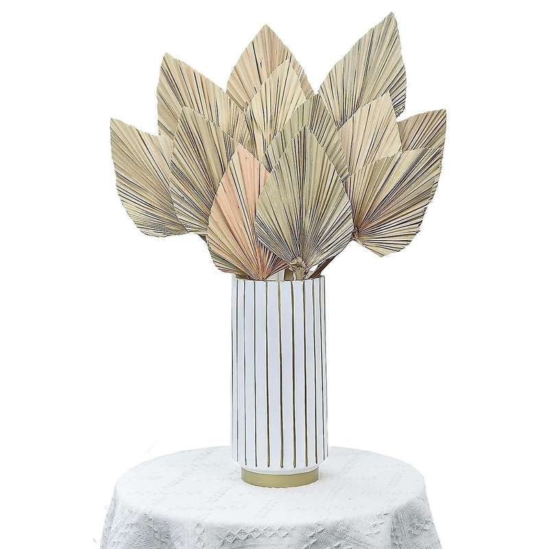 12 Pcs Natural Dried Palm Leaves Decor Boho Dried Leaf for Weddings Decoration Bedroom Kitchen Offic