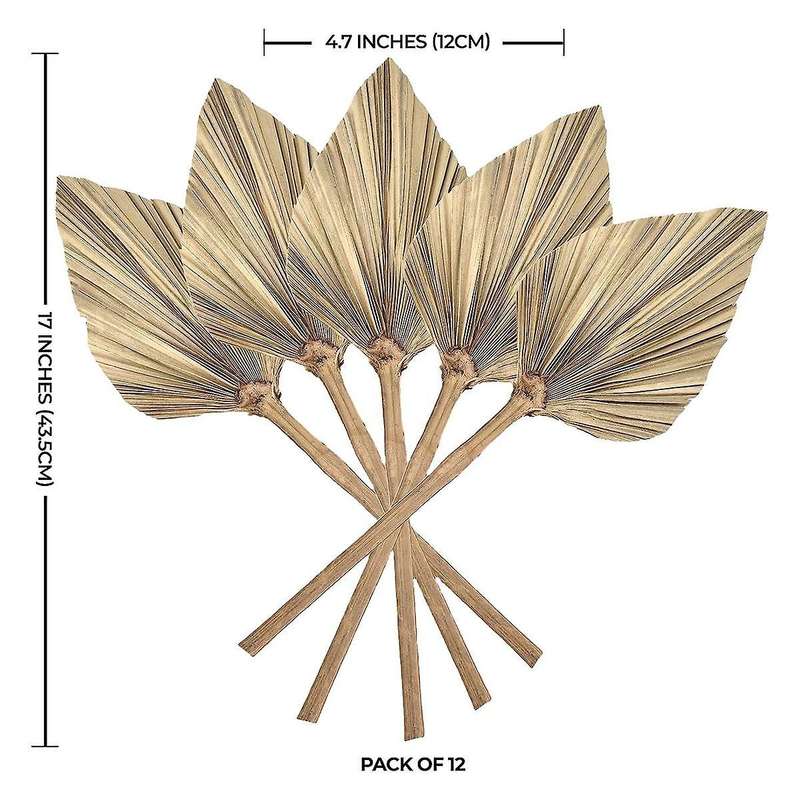 12 Pcs Natural Dried Palm Leaves Decor Boho Dried Leaf for Weddings Decoration Bedroom Kitchen Offic