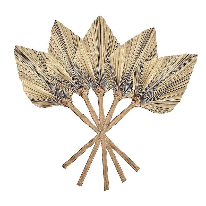 12 Pcs Natural Dried Palm Leaves Decor Boho Dried Leaf for Weddings Decoration Bedroom Kitchen Offic