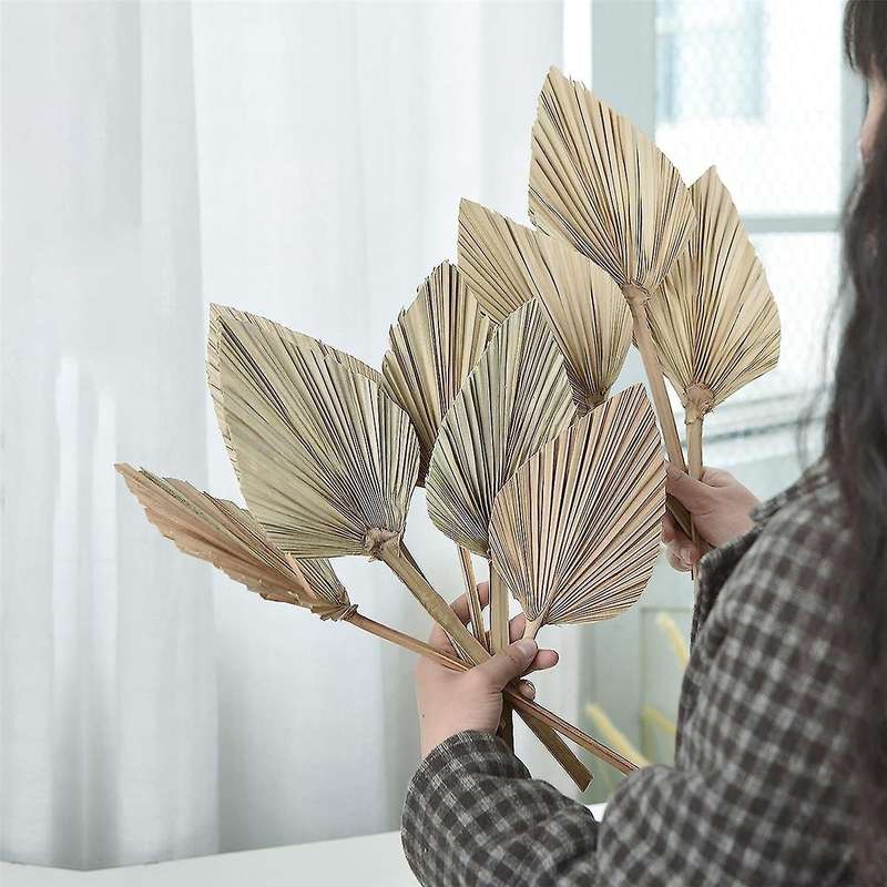 12 Pcs Natural Dried Palm Leaves Decor Boho Dried Leaf for Weddings Decoration Bedroom Kitchen Offic