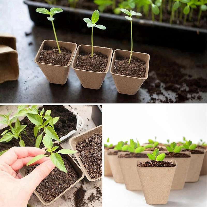 120 Pack Square Peat Pots for Seedlings, Seed Starting Pots with Drainage Holes,Biodegradable Herb S