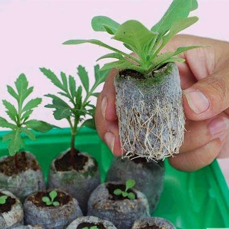 120Pcs 30mm Peat Soil Plant Plugs Pallet Seedling Soil Block, Seed Nutrient Block for Flowers