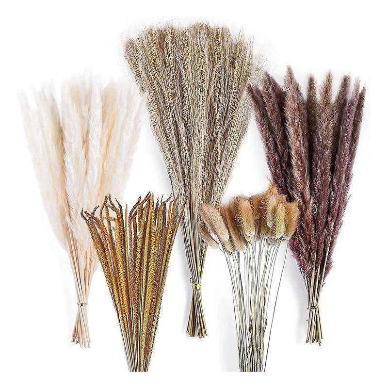 120pcs Dried Pampas Grass Bouquet Decor, Room Wedding Party Arrangements,fall Dry Flowers Bundles B