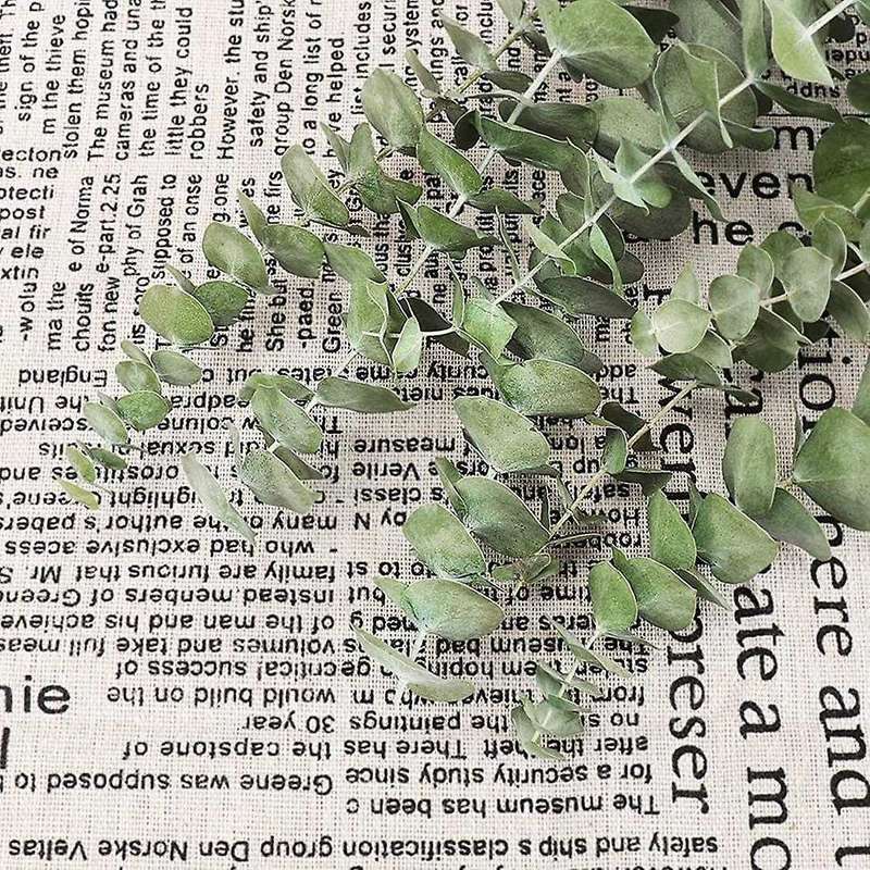 12Pcs Dried Eucalyptus Branches Greenery Stems,17 Inch 100% Real Natural Live Eucalyptus Leaves Pla