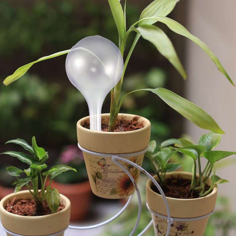 12pcs Plant Watering Bulbs Self-watering Globes Plastic Garden Device