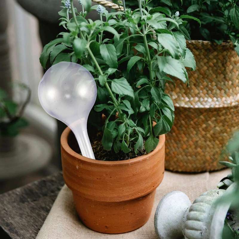 12pcs Plant Watering Bulbs Self-watering Globes Plastic Garden Device