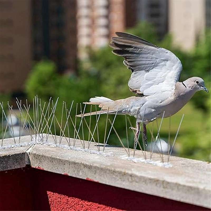 12-Piece Anti-Bird Fence Bird Nail Set, Bird Repellent Spikes, Balcony Bird Repellent, Spikes to Pre