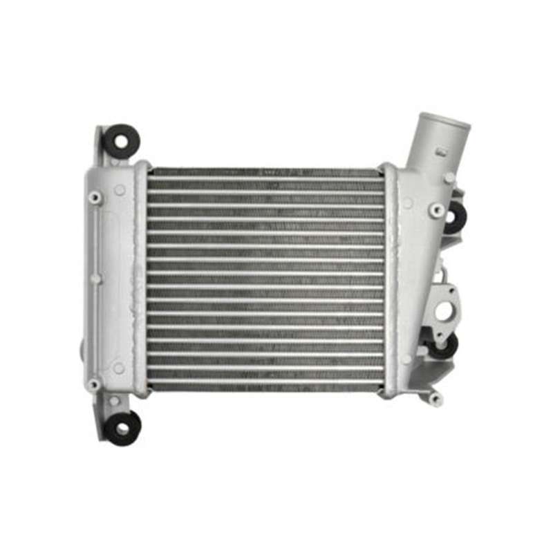 14461-VK50A Turbo Charge Air Cooler Intercooler Assy for Nassan Navara BD20 YD25 2002-2008 14461VK50