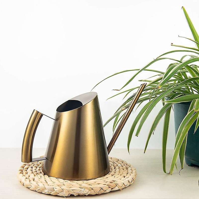 14Oz/400Ml Small Watering Can Indoor Stainless Steel Houseplant Watering Can Long Spout(Gold Color)