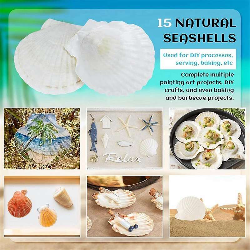 15 Pcs Natural Sea Shell White, 4-4.7 Inch Scallop Shells for Diy Craft, Serving Food, Baking and Mo