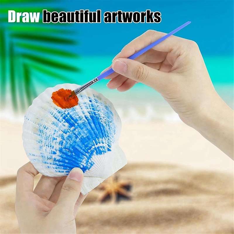 15 Pcs Natural Sea Shell White, 4-4.7 Inch Scallop Shells for Diy Craft, Serving Food, Baking and Mo