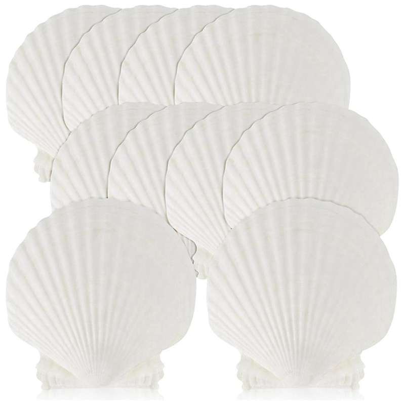 15 Pcs Natural Sea Shell White, 4-4.7 Inch Scallop Shells for Diy Craft, Serving Food, Baking and Mo