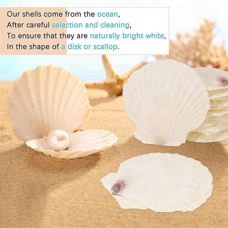 15 Pcs Natural Sea Shell White, 4-4.7 Inch Scallop Shells for Diy Craft, Serving Food, Baking and Mo