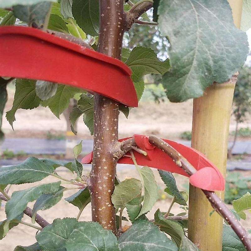 150PC Plastic Plastic Fruit Tree Branch Bender Tree Pressing Bending Modelling Tool Gardening Access