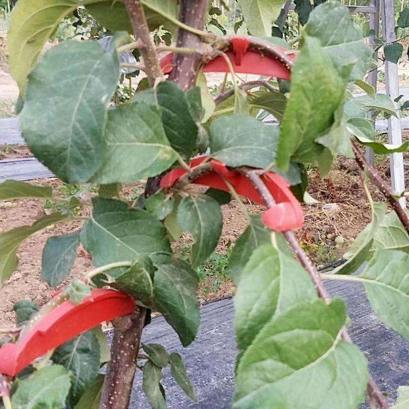 150PC Plastic Plastic Fruit Tree Branch Bender Tree Pressing Bending Modelling Tool Gardening Access