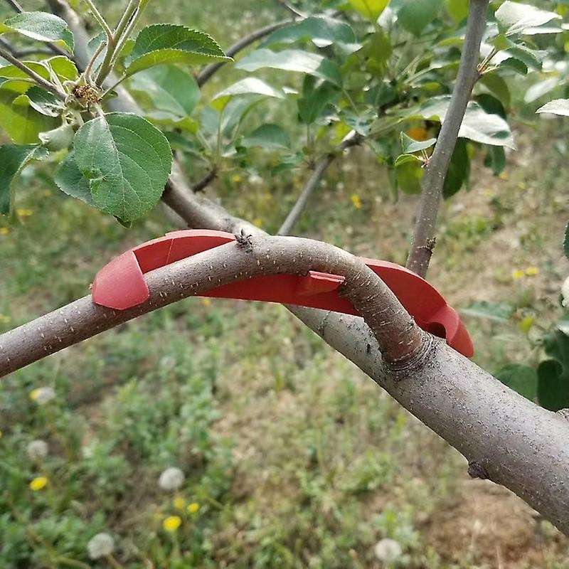 150PC Plastic Plastic Fruit Tree Branch Bender Tree Pressing Bending Modelling Tool Gardening Access