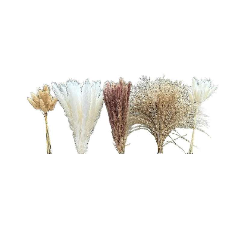 150pcs Pampas Grass Boho Homedecor Dried Flowers-pampas Grass Contains Bunny White Pampas Brown Pamp