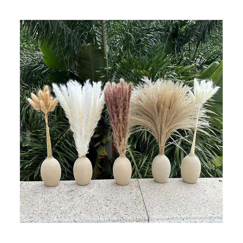150pcs Pampas Grass Boho Homedecor Dried Flowers-pampas Grass Contains Bunny White Pampas Brown Pamp