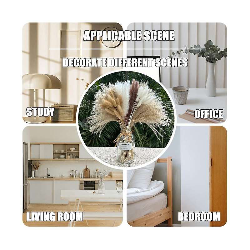 150pcs Pampas Grass Boho Homedecor Dried Flowers-pampas Grass Contains Bunny White Pampas Brown Pamp
