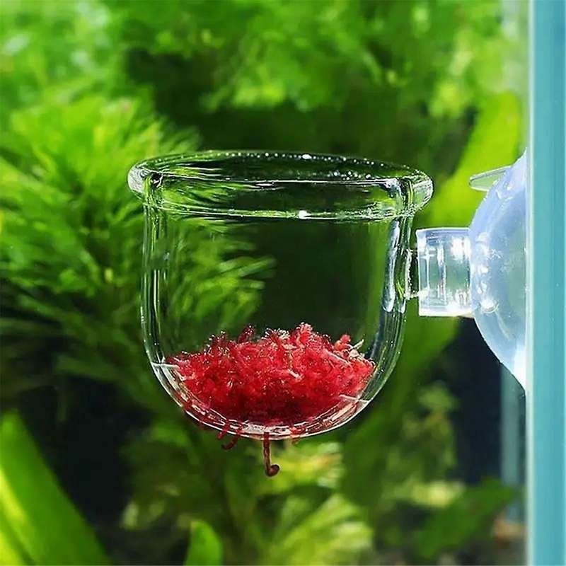 16pcs Aquatic Plant Cups, Transparent Acrylic Aquatic Plant Pot with Suction, Aquarium Decoration 2