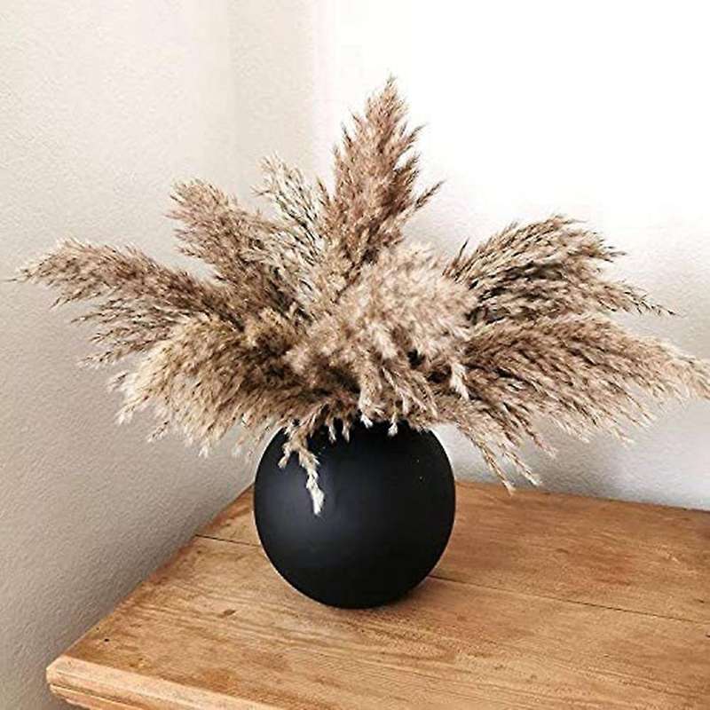 17.72inch Dried Pampas Decor Fluffy Pampas Grass 30 Stems Small Pampas Bulk Natural Pampas Grasses