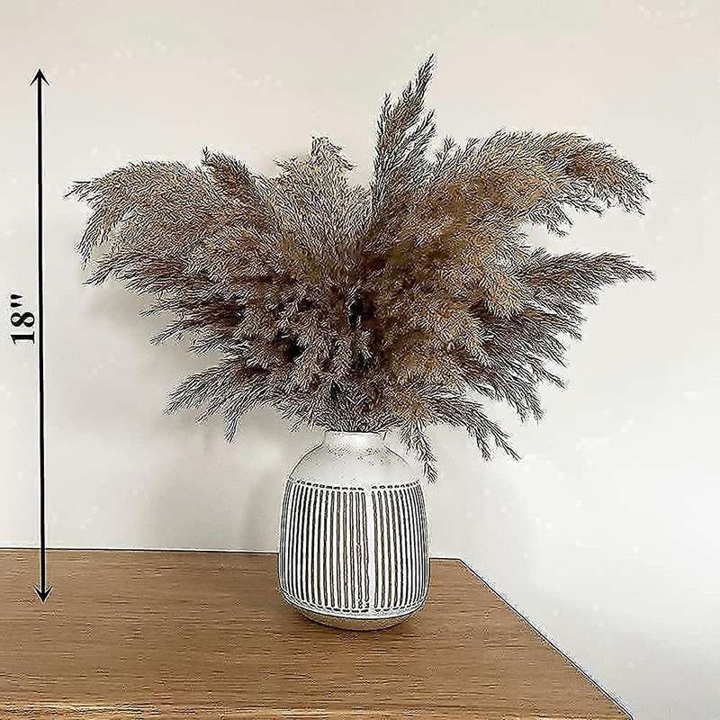 17.72inch Dried Pampas Decor Fluffy Pampas Grass 30 Stems Small Pampas Bulk Natural Pampas Grasses