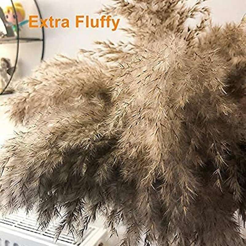 17.72inch Dried Pampas Decor Fluffy Pampas Grass 30 Stems Small Pampas Bulk Natural Pampas Grasses